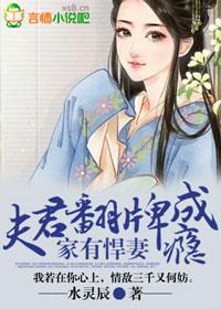 家有悍妻,夫君翻牌成瘾
